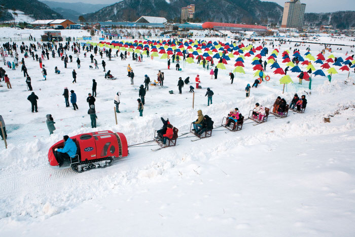 Festival Ikan Trout Pyeongchang