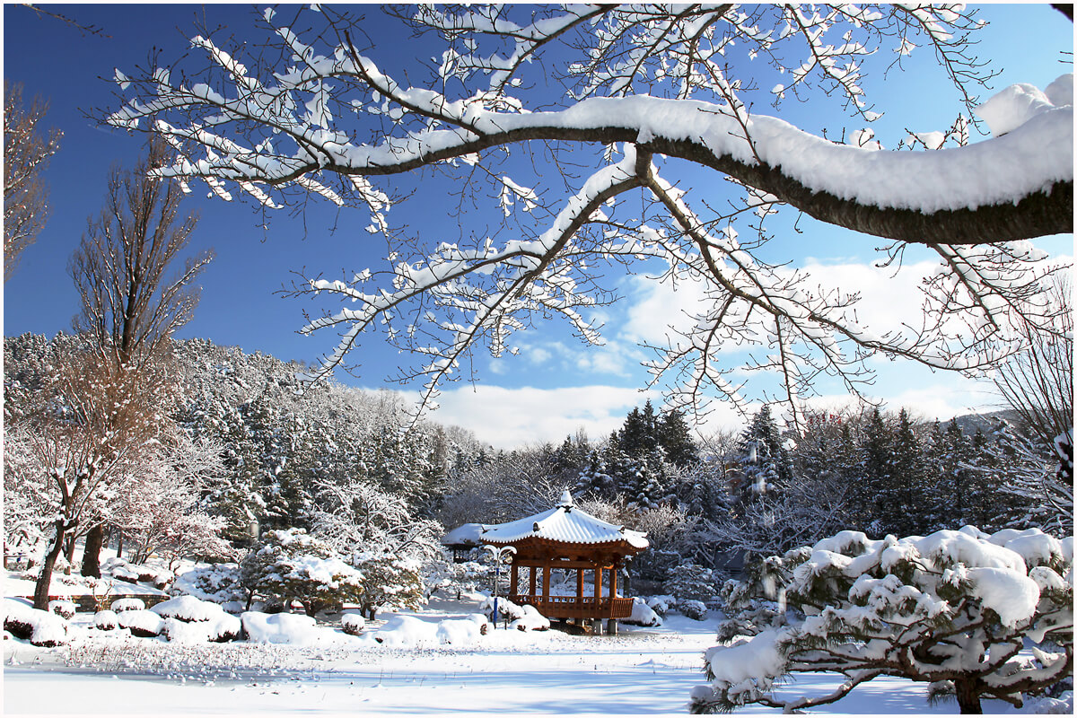 Gambar Pemandangan Salju Di Korea Gambar Pemandangan