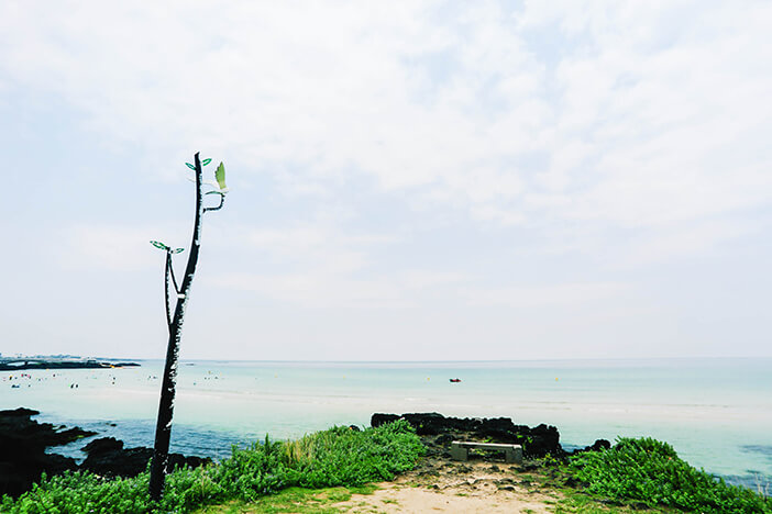 Panduan untuk Menikmati Pesisir Timur Pulau Jeju