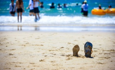 Photo_Objek Wisata Pantai Barat yang Terkenal, Pantai Daecheon Dibuka untuk Musim Panas!