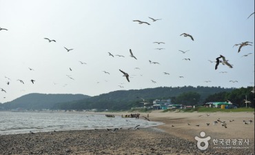 Pantai Masian (용유도 마시안해변)