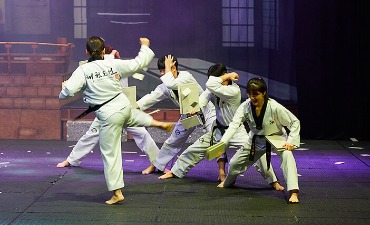 Rasakan Seni Bela Diri Korea, Taekwondo