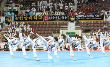 Photo_World Taekwondo Hanmadang (세계태권도한마당)