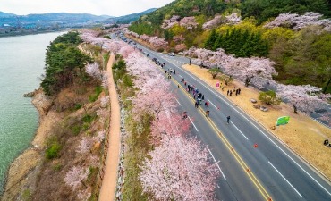 Photo_Berlari bersama Bunga Sakura di Maraton Bunga Sakura Gyeongju!