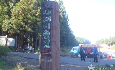 Jalur Hutan Saryeoni (사려니숲길)