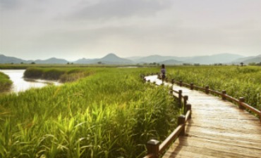 Photo_UNESCO menetapkan Suncheon sebagai Cagar Biosfer