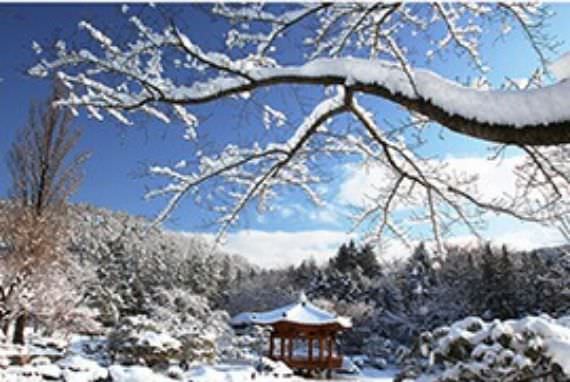 Musim Dingin di Korea