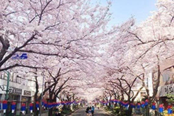 Musim Semi di Korea