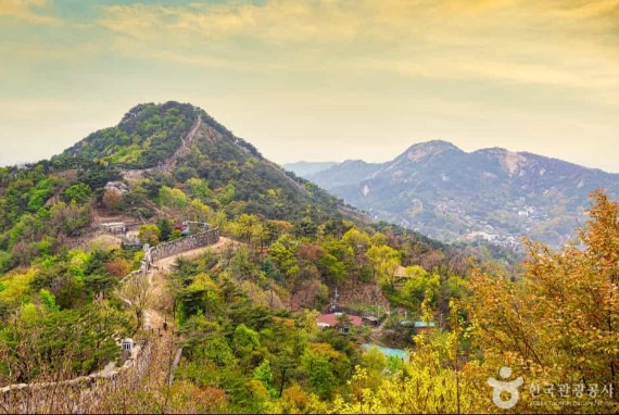 Cheong Wa Dae ke Jalur Hutan Bukaksan: Jalur Rahasia Presiden