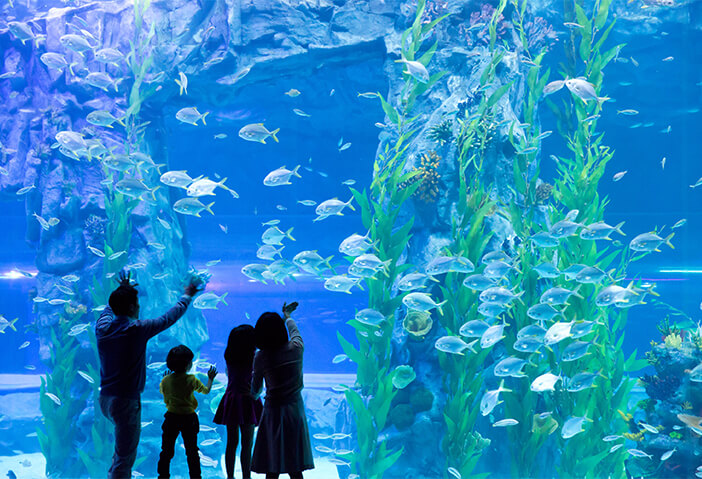 Photo_Lotte Aquarium