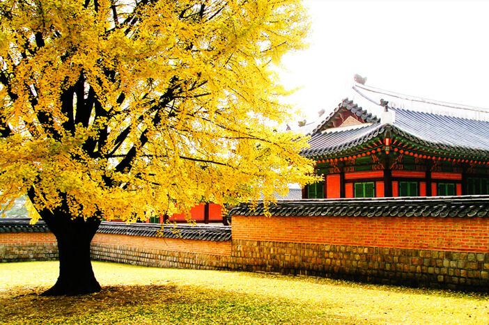 Photo_Musim gugur di Istana Gyeongbokgung & Samcheong-dong