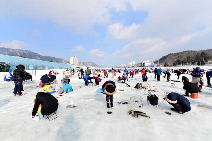 Photo_Romantic winter Korea + Pyeongchang Trout Festival (6D4N)