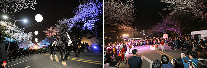 Photo_ Festival Cherry Blossom 16
