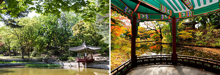 Photo_Istana Changdeokgung di musim yang berbeda 