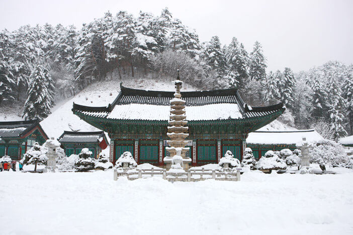 Photo_Pemandangan musim dingin di Kuil Woljeongsa_1