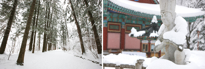 Photo_Pemandangan musim dingin di Kuil Woljeongsa_2
