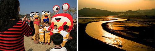 Photo_Festival Ilalang Teluk Suncheon 4