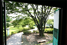 Photo_Pemandangan Situs Istana Goryeo dari Myeongwiheon