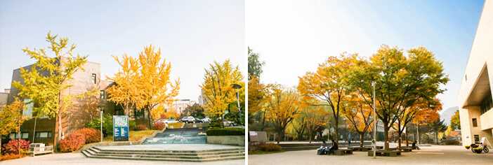 Photo_Kampus Gwanak Universitas Nasional Seoul 1