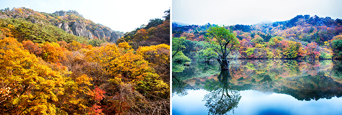 Photo_Dedaunan musim gugur Gunung Juwangsan 1