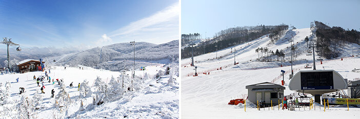Photo_Resor ski Korea  1