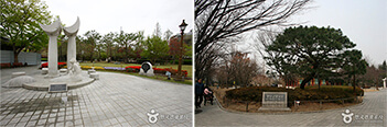 Photo_Gyeongsanggamnyeong Park 3