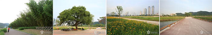 Photo_Taman Nasional Taehwagang 2