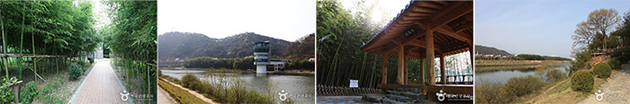 Photo_Taman Nasional Taehwagang 5