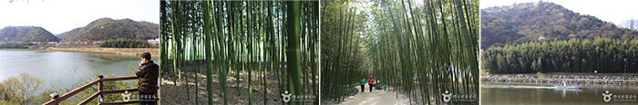 Photo_Taman Nasional Taehwagang 7