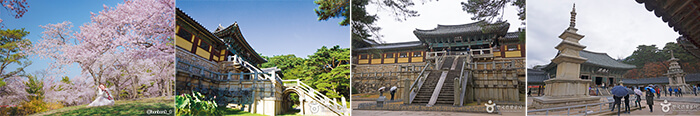 Photo_Gyeongju Seokguram Grotto  [UNESCO World Heritage]  12