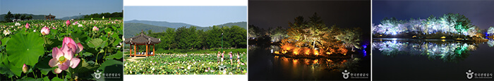 Photo_Istana Gyeongju Donggung dan Danau Wolji 1