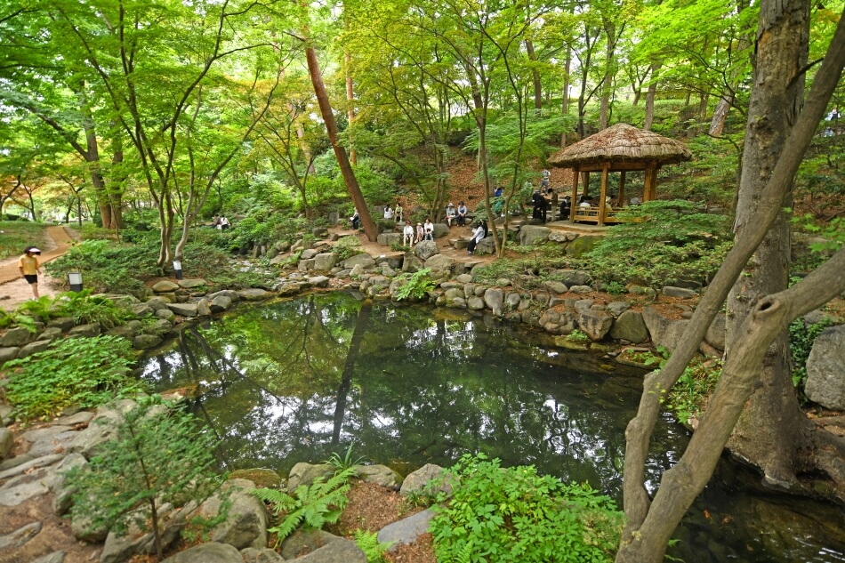 Photo_Taman kolam yang indah oleh Sangchunjae