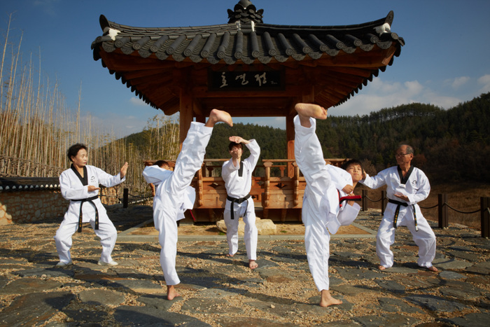 Taekwondowon-31